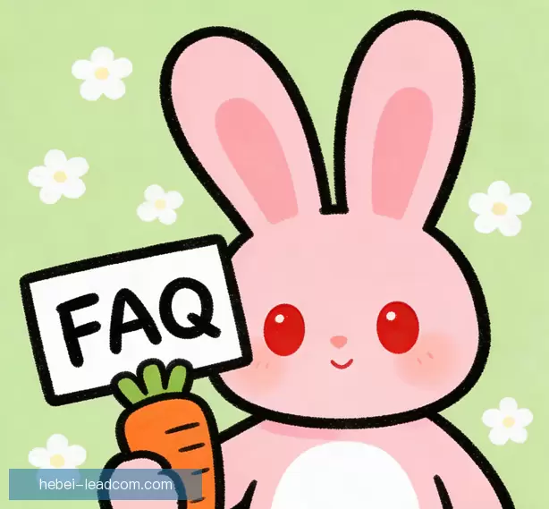 常见问题